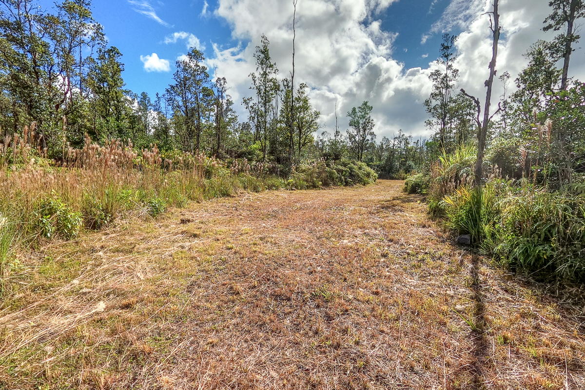 16-1474 Lot 3038 Hopue Rd Mountain View Mountain View, HI 96771 - Photo 8 of 30 a view of backyard of house with green space