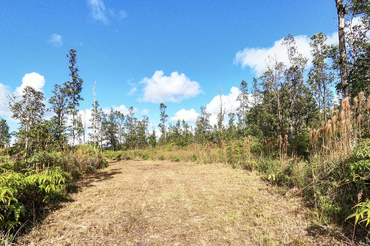 16-1474 Lot 3038 Hopue Rd Mountain View Mountain View, HI 96771 - Photo 9 of 30