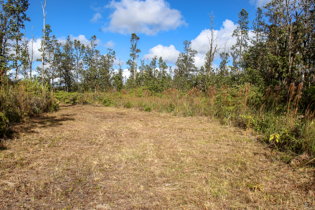 16-1474 Lot 3038 Hopue Rd Mountain View Mountain View, HI 96771 - Photo 10 of 30 a view of a yard with trees