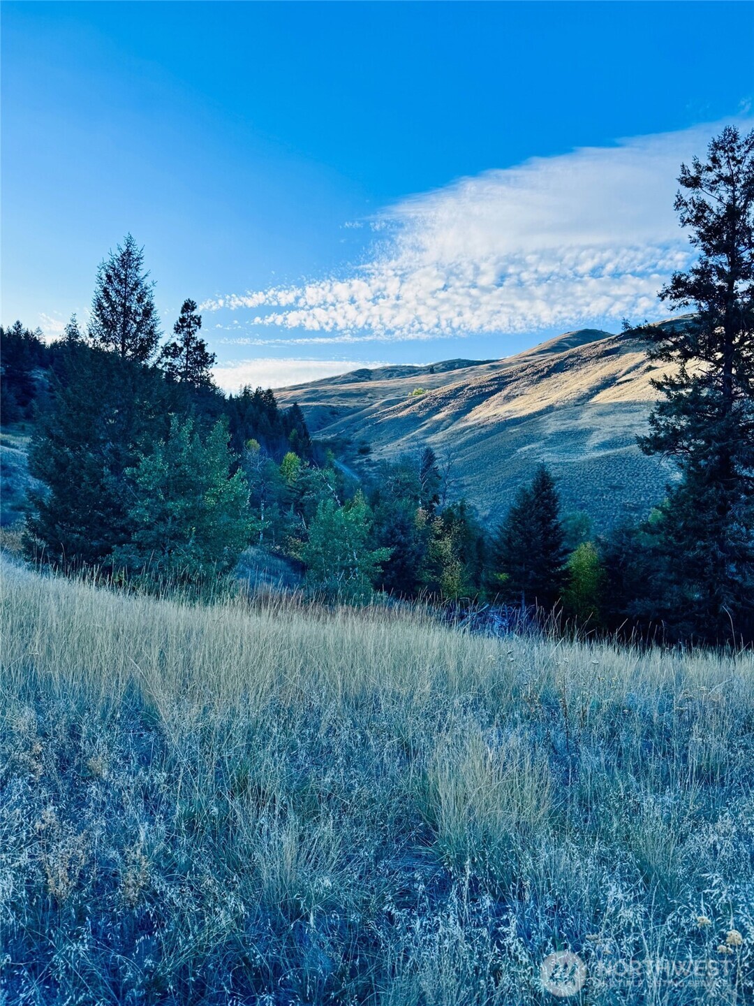 41 Gafvery Creek Road Oroville, WA 98844 - Photo 2 of 15