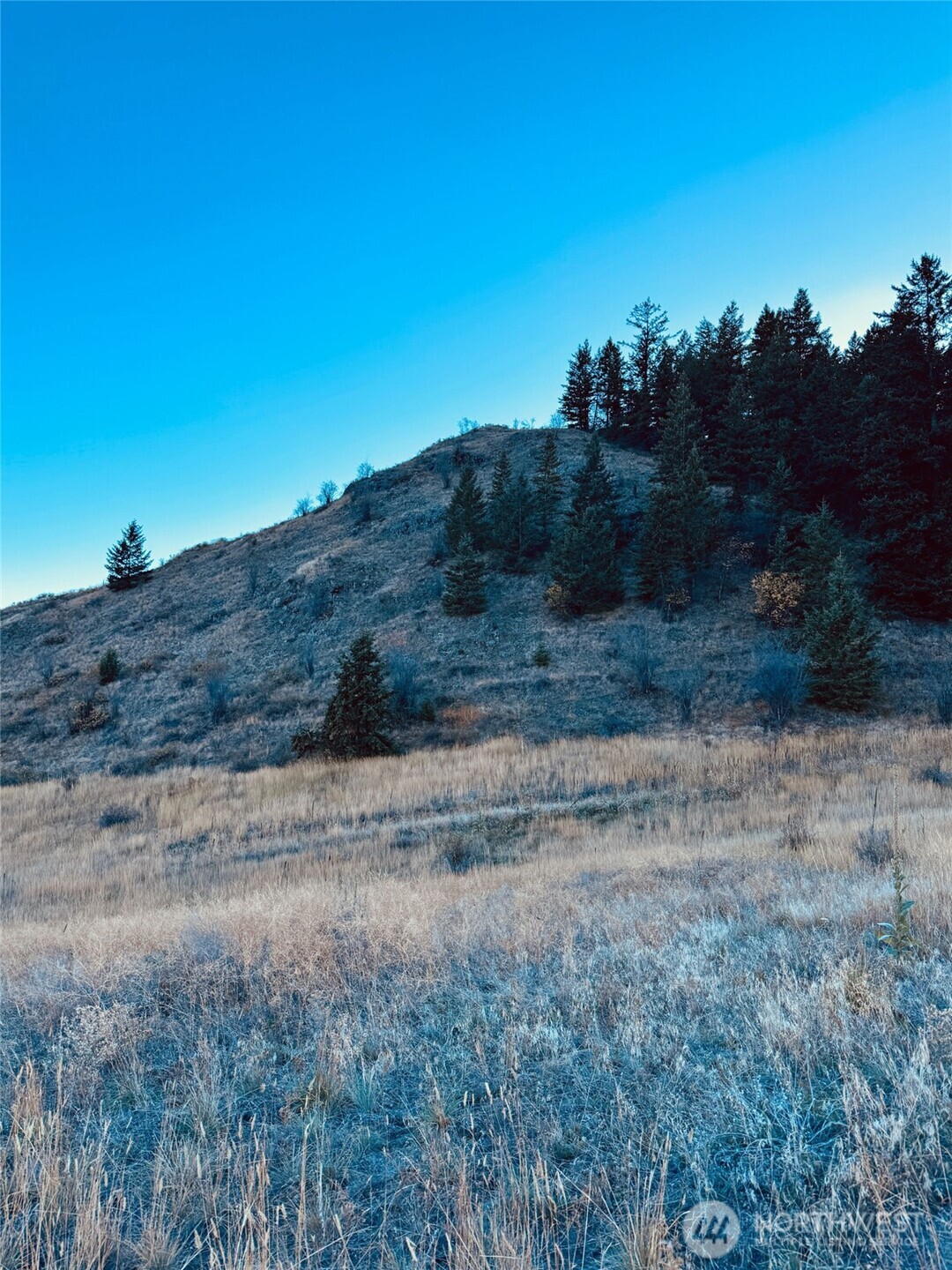 41 Gafvery Creek Road Oroville, WA 98844 - Photo 3 of 15