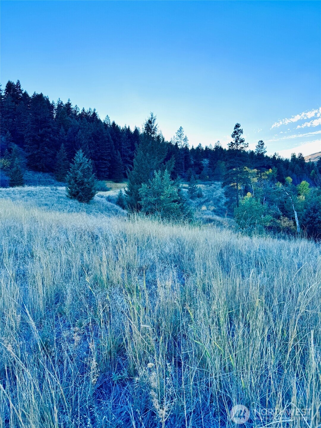 41 Gafvery Creek Road Oroville, WA 98844 - Photo 6 of 15