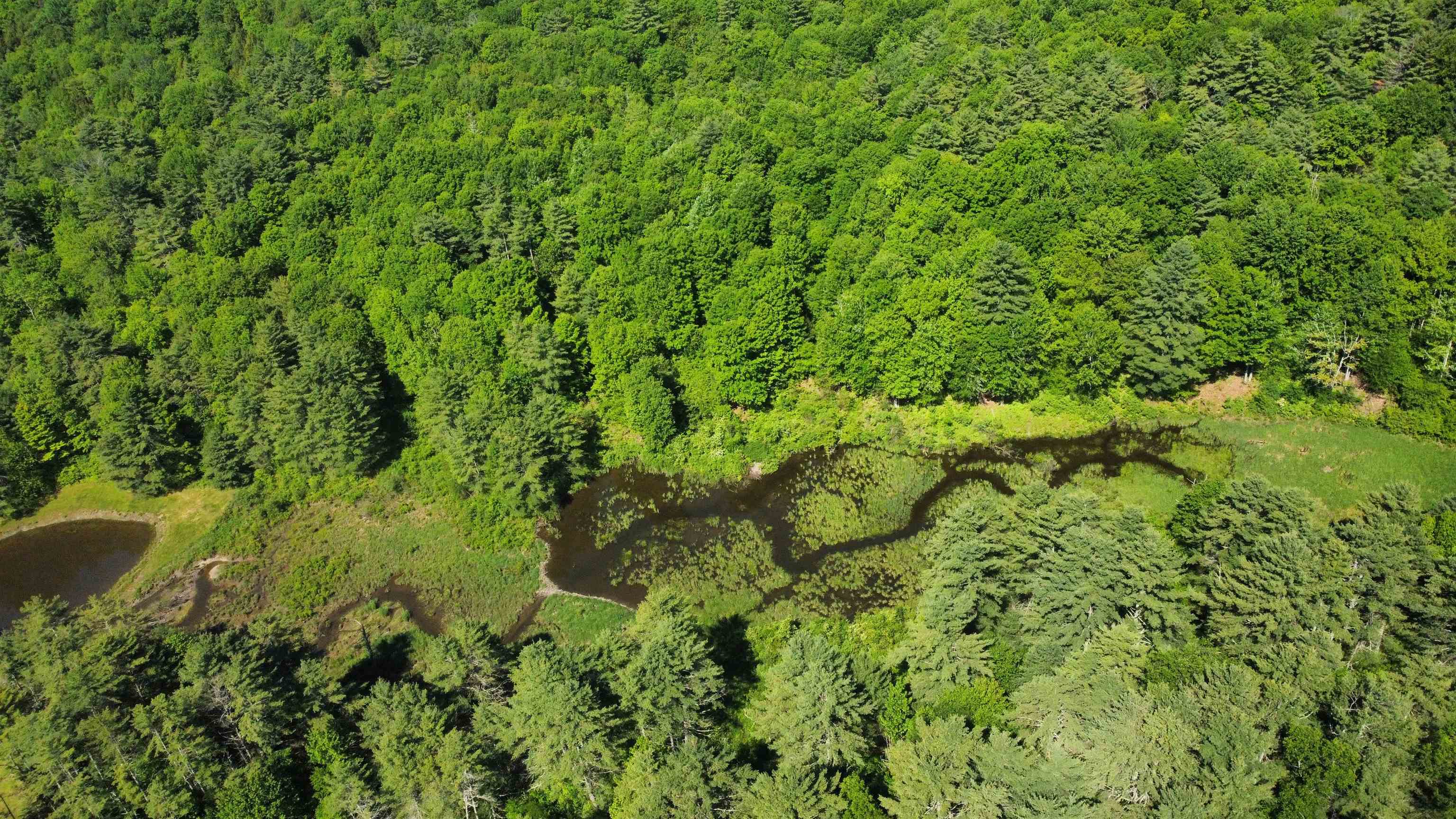 0 Bullfrog Hollow Road Wells, VT 05774 - Photo 25 of 26
