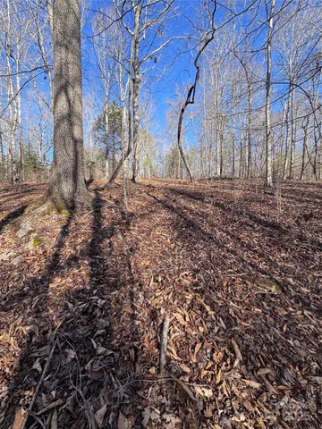 a view of outdoor space with tree s