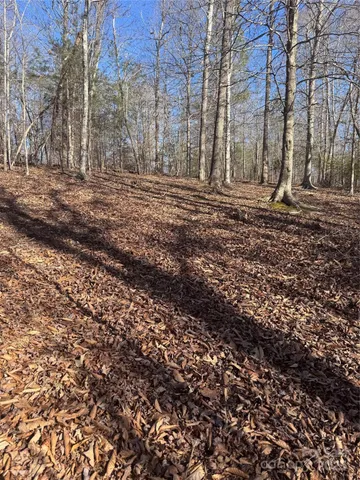 a view of a yard with a house