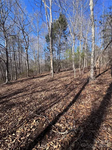 a view of a yard with a house