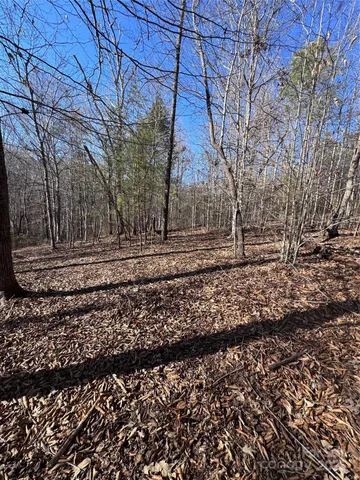a view of a yard with trees