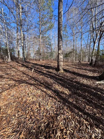 a view of a yard with trees