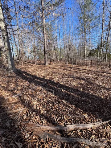 a view of a yard with trees