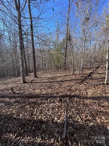 a view of outdoor space with large trees
