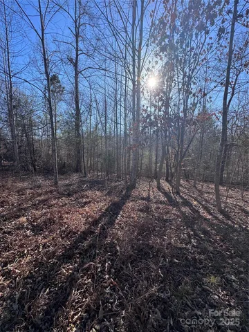 a view of a yard with trees