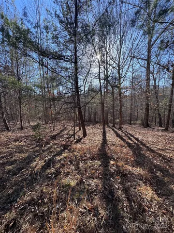 a big yard with lots of green space