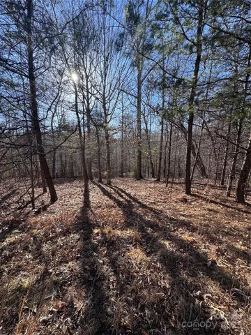 a view of outdoor space with trees