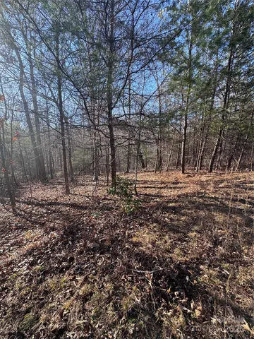 a view of street along with trees