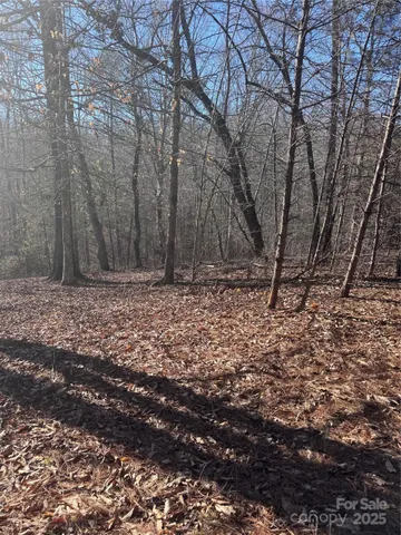 a view of house with trees