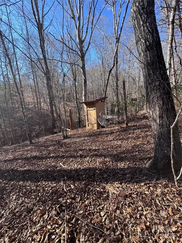 a view of a yard with trees