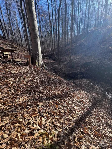 a view of a backyard with large trees