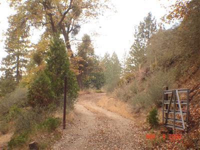 0 Mckenzie Ridge Road Dunlap, CA 93621 - Photo 2 of 8 Gallery Image 2