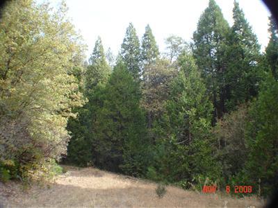 0 Mckenzie Ridge Road Dunlap, CA 93621 - Photo 6 of 8 Gallery Image 6