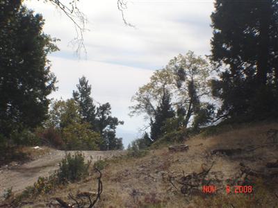 0 Mckenzie Ridge Road Dunlap, CA 93621 - Photo 7 of 8 Gallery Image 7