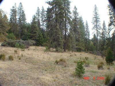 0 Mckenzie Ridge Road Dunlap, CA 93621 - Photo 8 of 8 Gallery Image 8