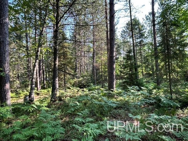 Lot 62 Little Rice Lake Road Lake Linden, MI 49945 - Photo 32 of 52 Gallery Image 32
