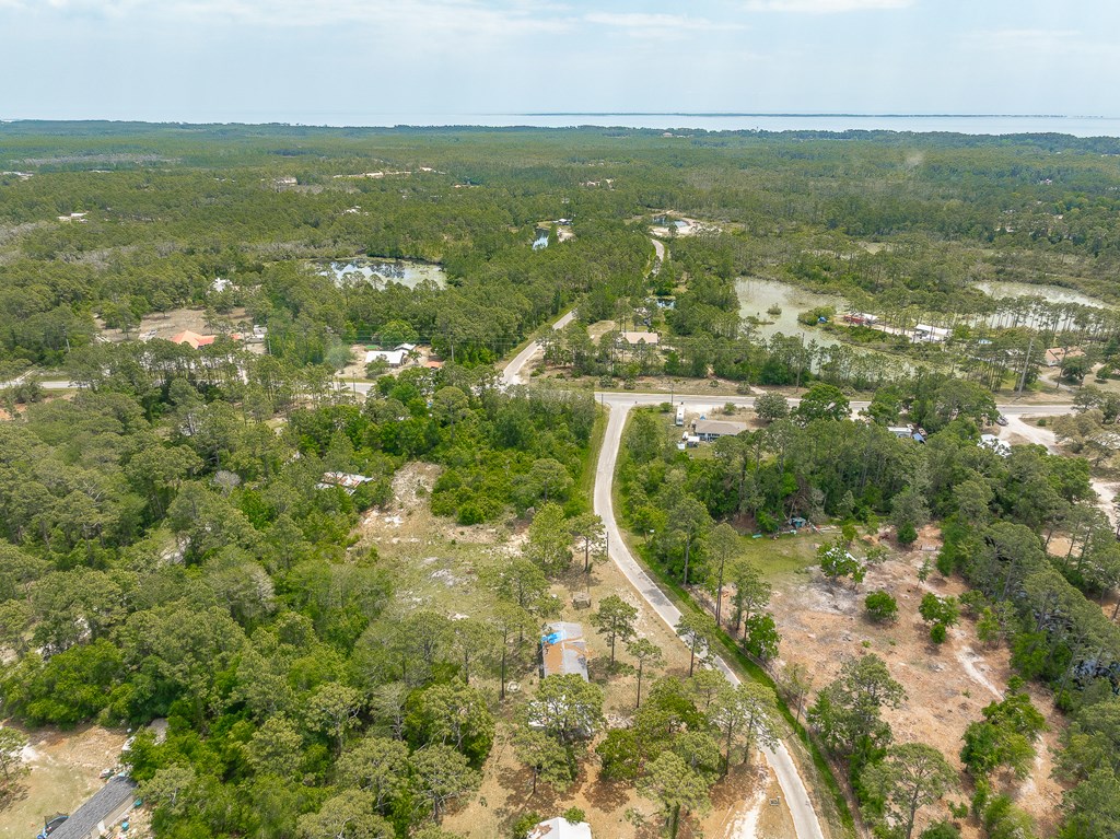119 Carlton Millender Road Carrabelle, FL 32322 - Photo 3 of 11 Gallery Image 3