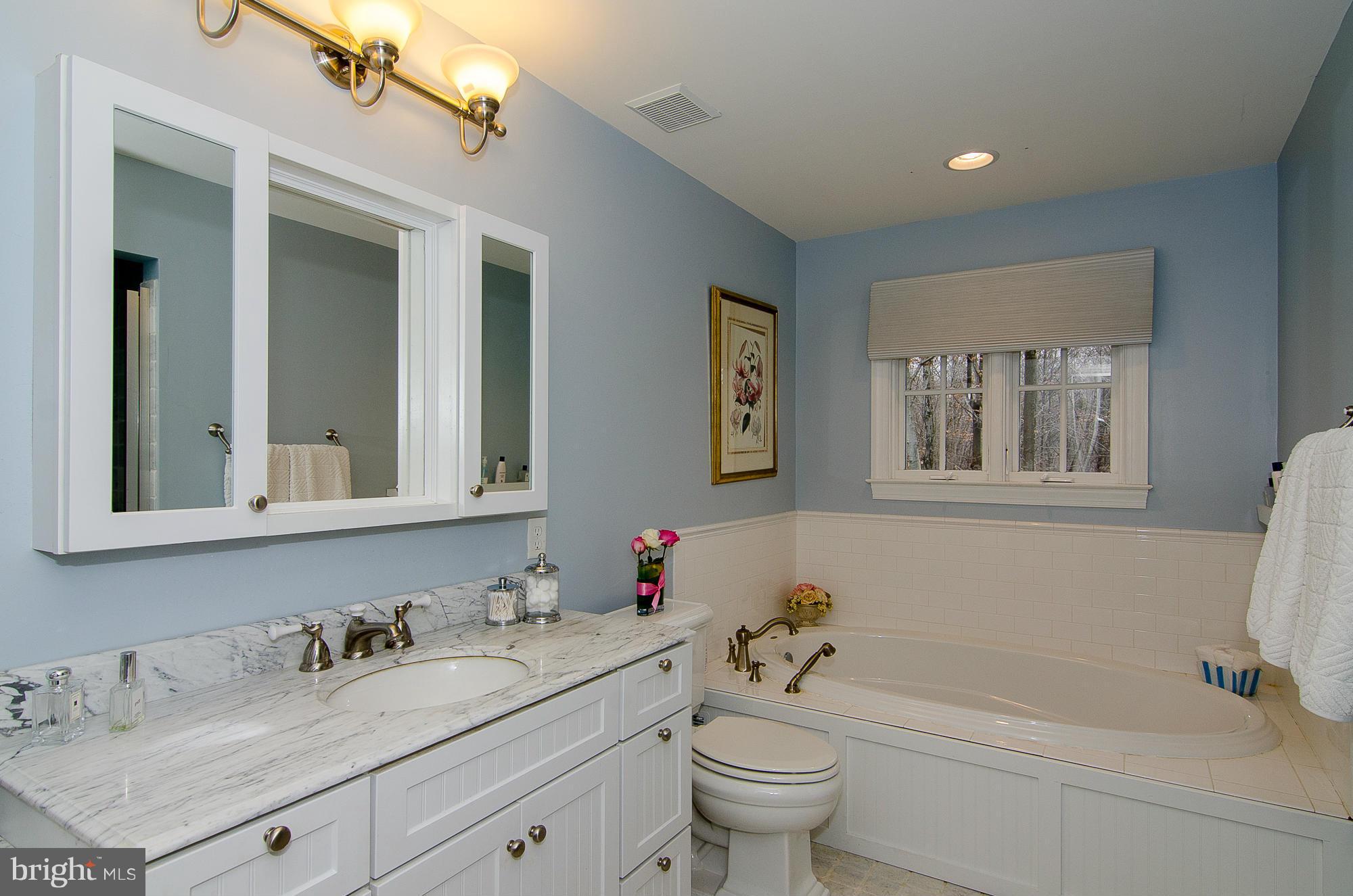 1440 Shot Town Road Annapolis, MD 21409 - Photo 21 of 30 Bath (Master)