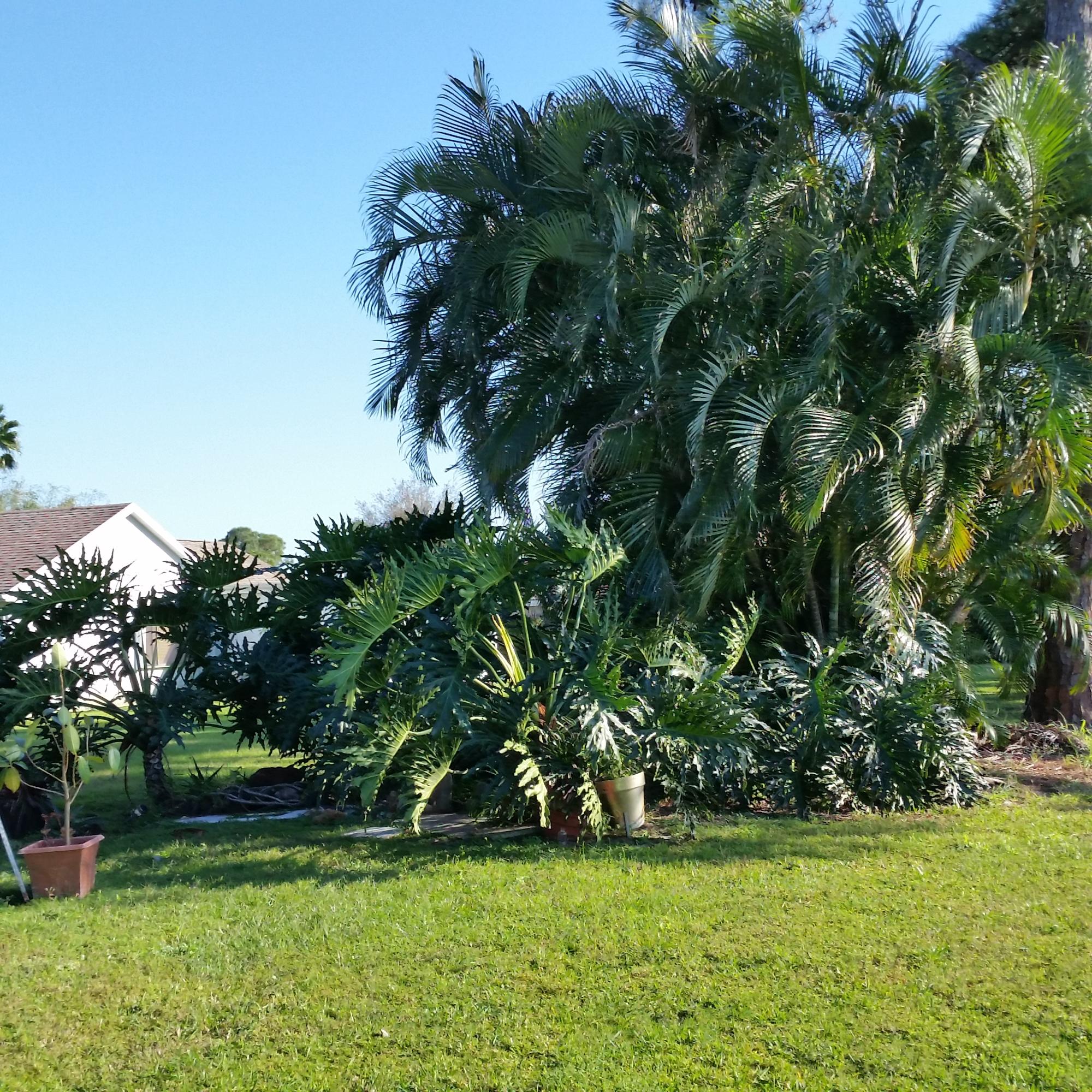2149 Southeast Erwin Road Port St. Lucie, FL 34952 - Photo 14 of 43 20160226_160555