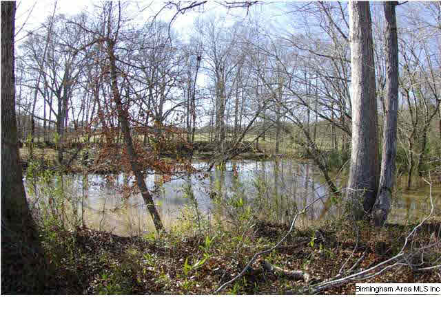 Refuge Road, Unit 10 Ragland, AL 35131 - Photo 6 of 6