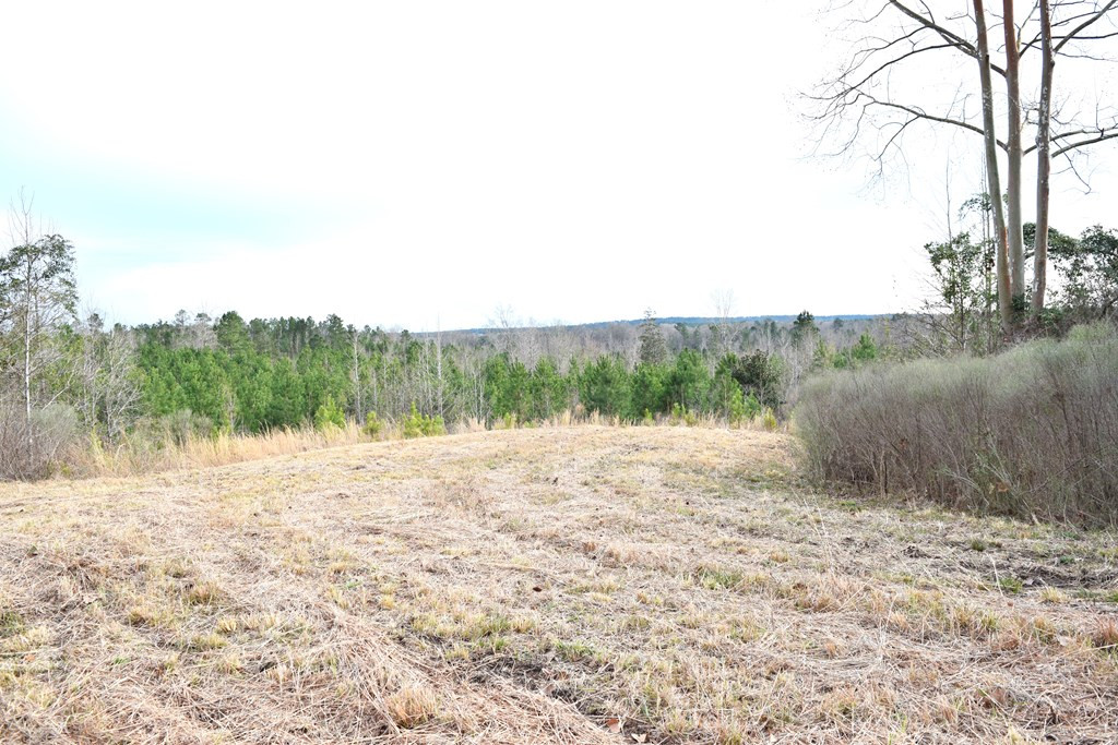 Xx Lehmann Road Roxie, MS 39661 - Photo 8 of 24 Photo 8