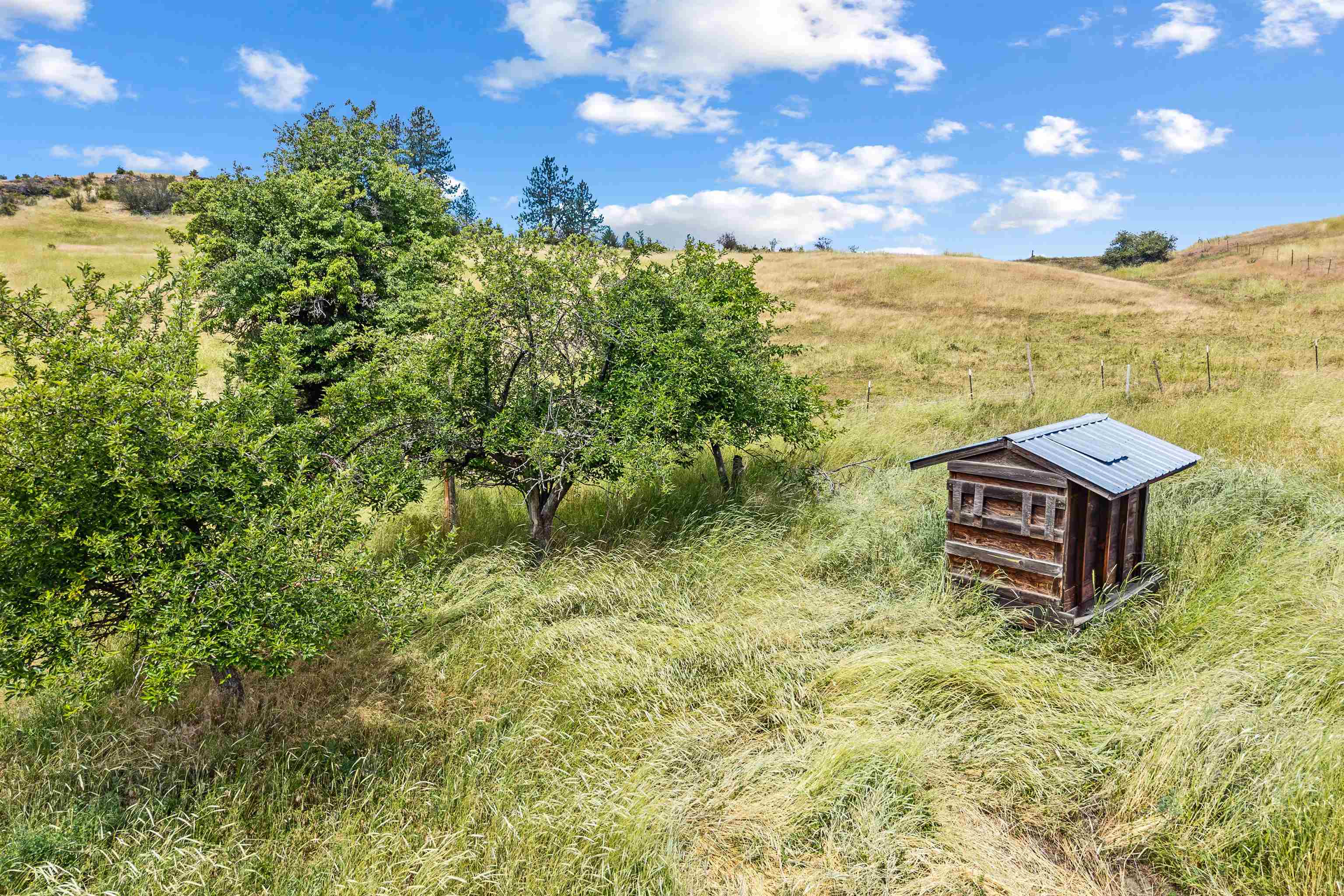 4925 Melin Road Hunters, WA 99137 - Photo 43 of 49