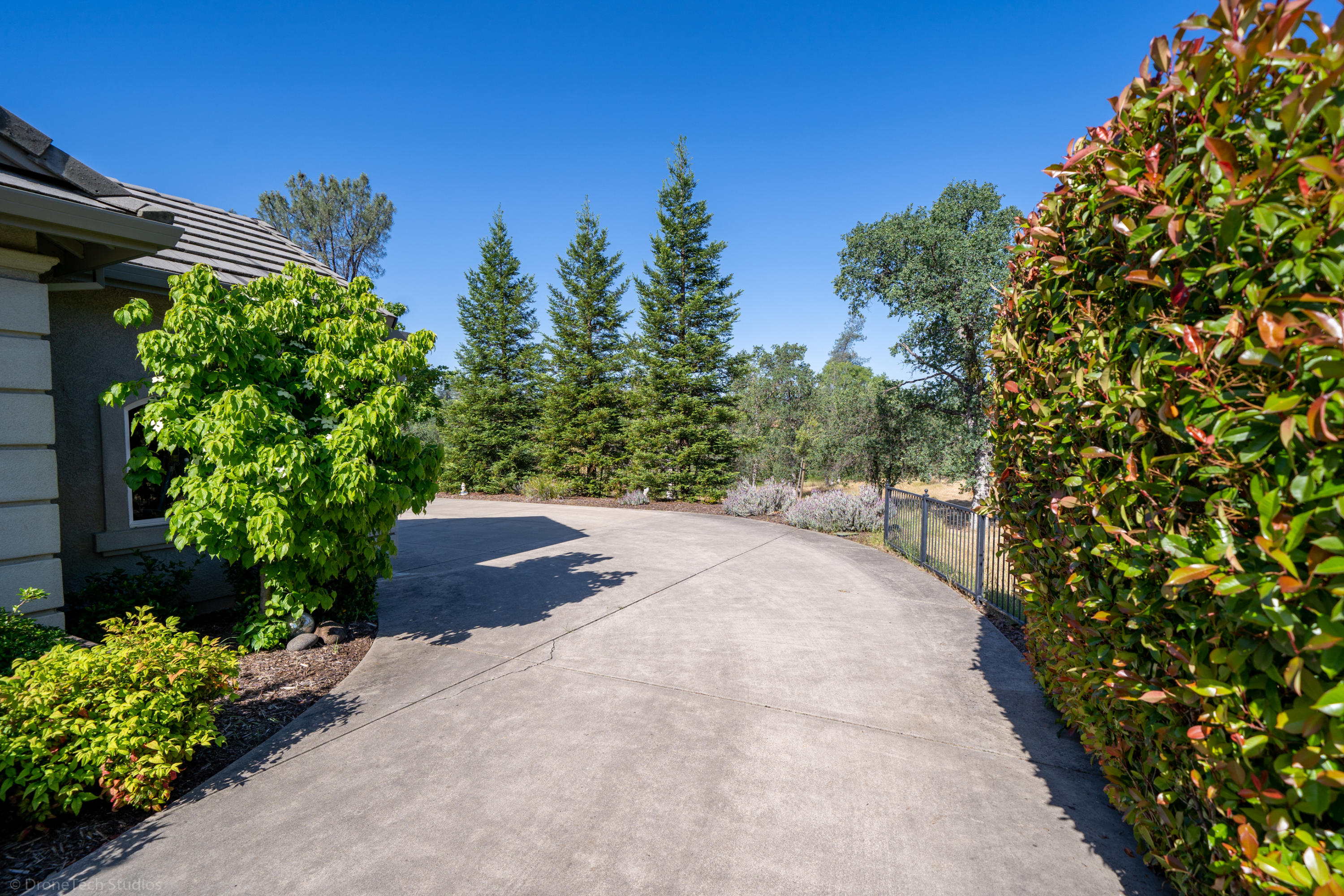 13198 Tierra Heights Road Redding, CA 96003 - Photo 8 of 102 Total Privacy