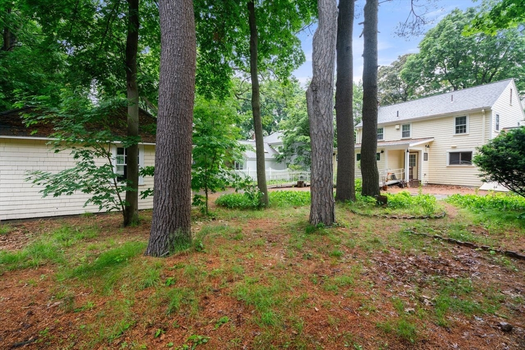 65 Kirkstall Road Newton, MA 02460 - Photo 37 of 42