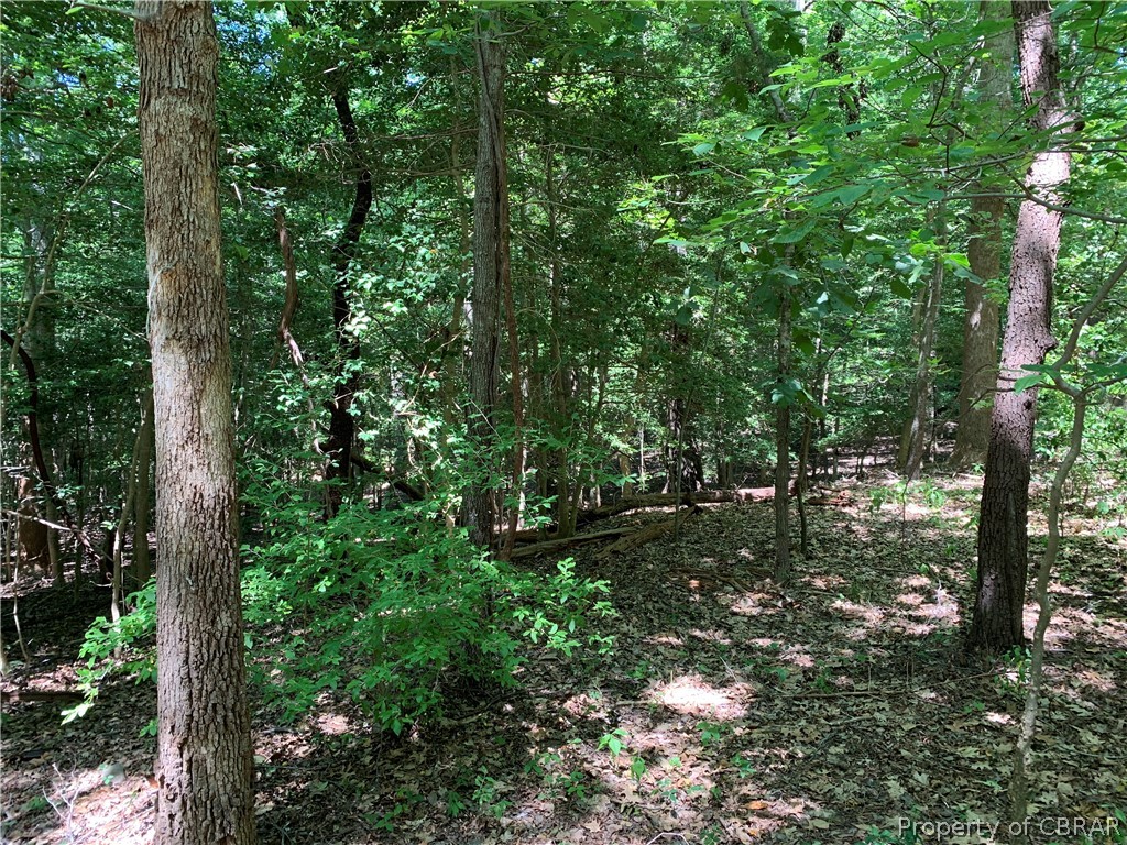 Lot 41 Wilton Creek Road Hartfield, VA 23071 - Photo 9 of 12 Views of the Gentle Slope Along the Ravine