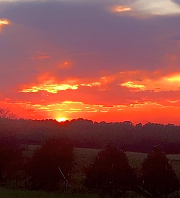 887 Sunset Drive Rising Fawn, GA 30738 - Photo 2 of 27 IMG_5134