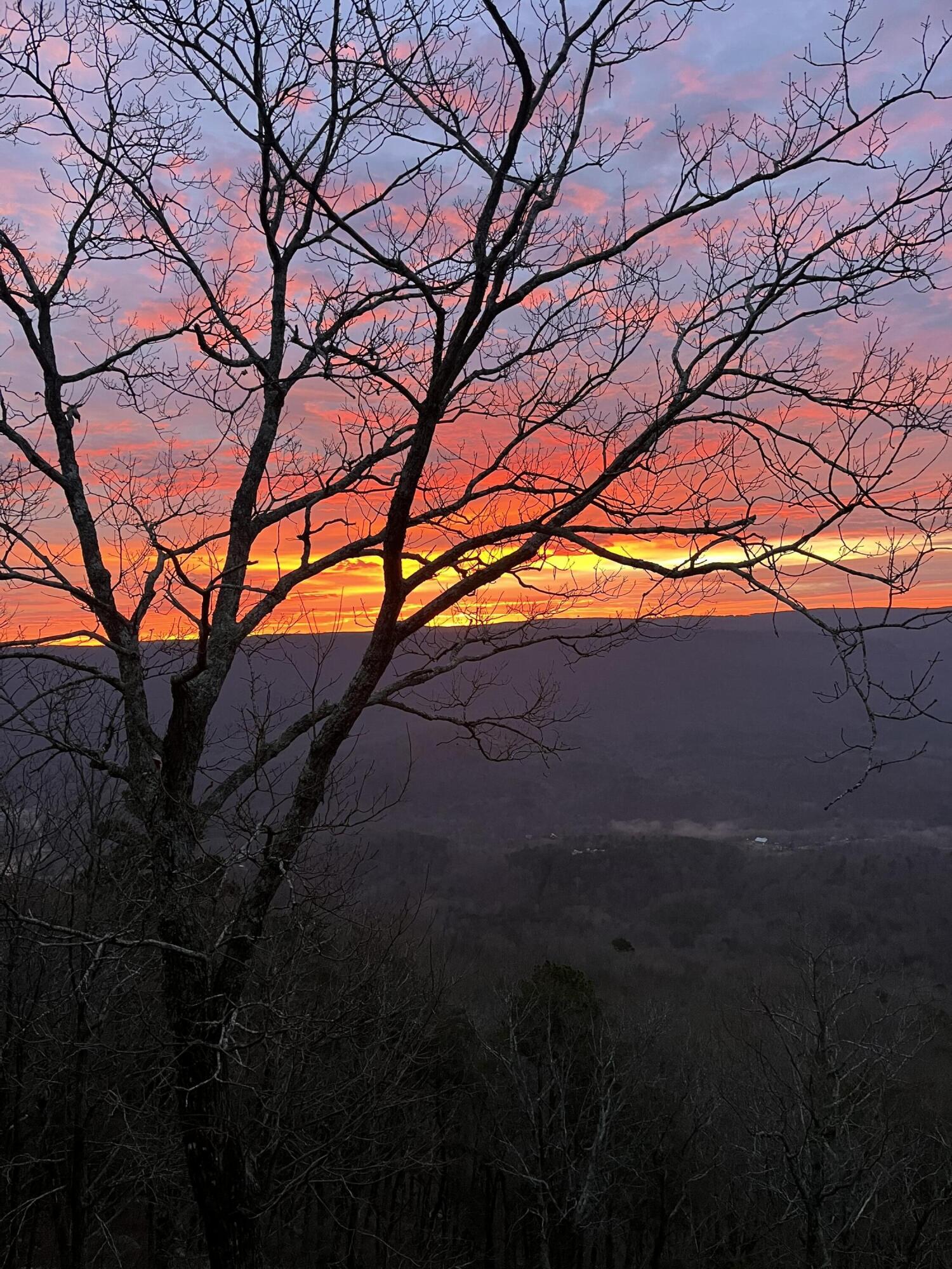 887 Sunset Drive Rising Fawn, GA 30738 - Photo 3 of 27 IMG_2445