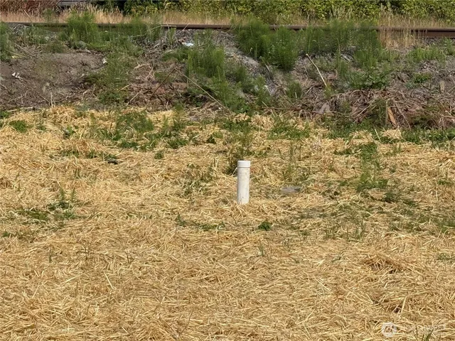 a view of a pathway both side of residential building