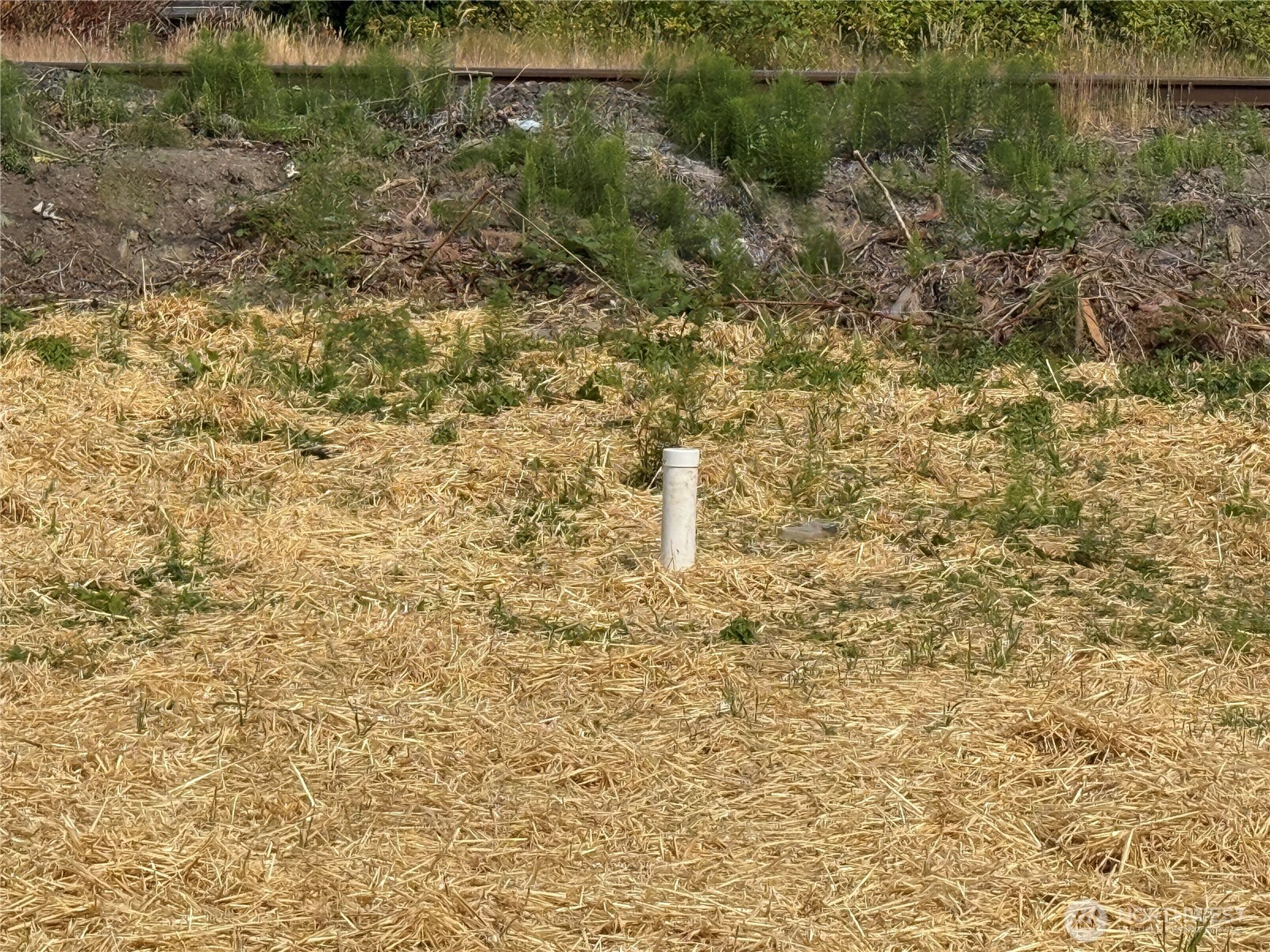 1730 Wood Avenue Sumner, WA 98390 - Photo 10 of 20