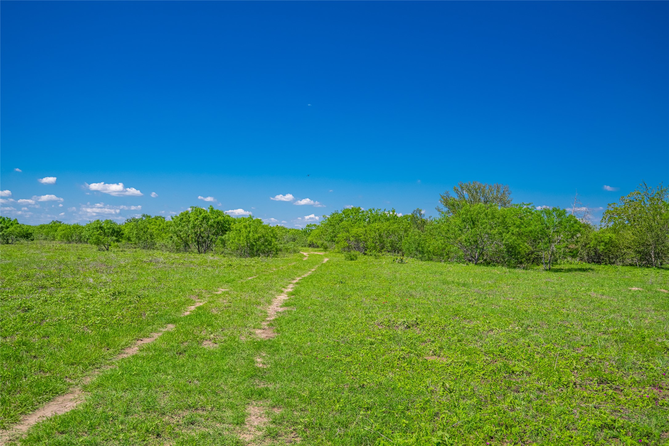 0 Sparta Field Road Waelder, TX 78959 - Photo 11 of 42 a view of an ocean from a yard
