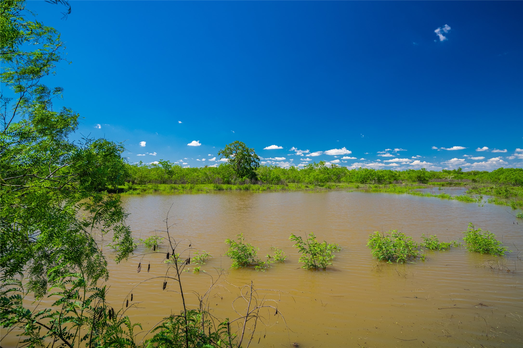 0 Sparta Field Road Waelder, TX 78959 - Photo 13 of 42 a view of lake with green space