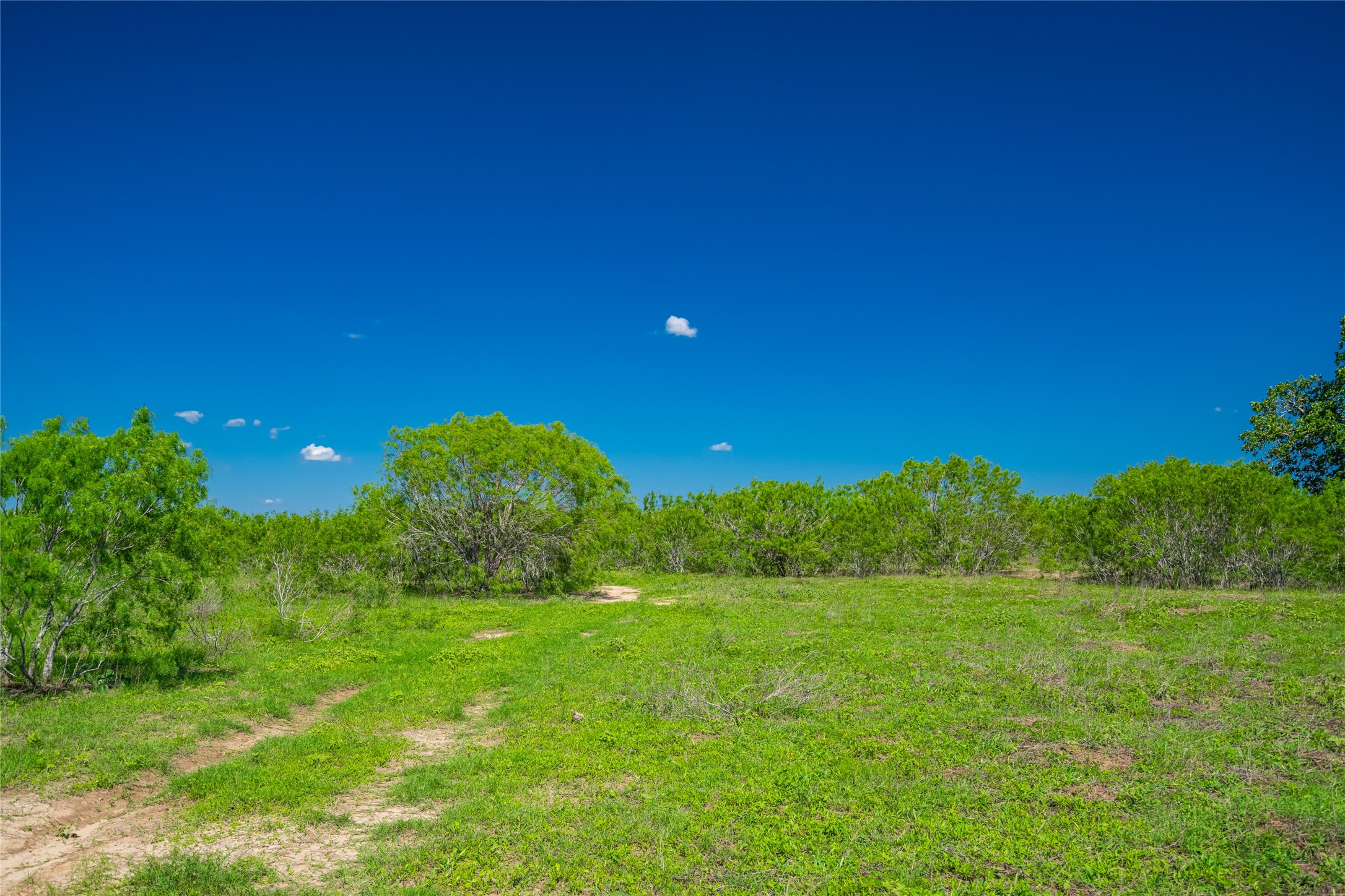 0 Sparta Field Road Waelder, TX 78959 - Photo 15 of 42 a view of outdoor space with deck and yard