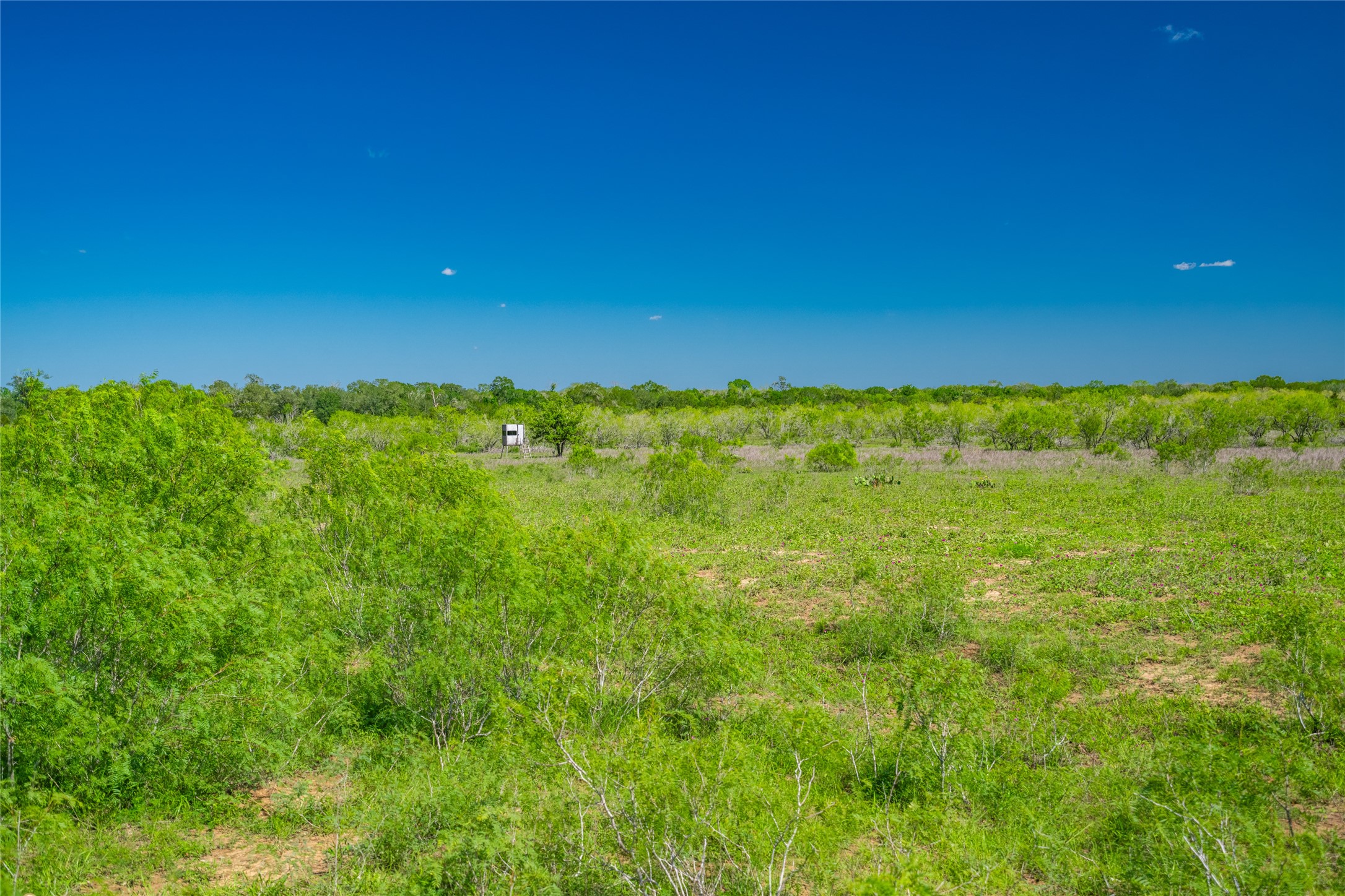 0 Sparta Field Road Waelder, TX 78959 - Photo 16 of 42 a view of yard with swimming pool and outdoor seating