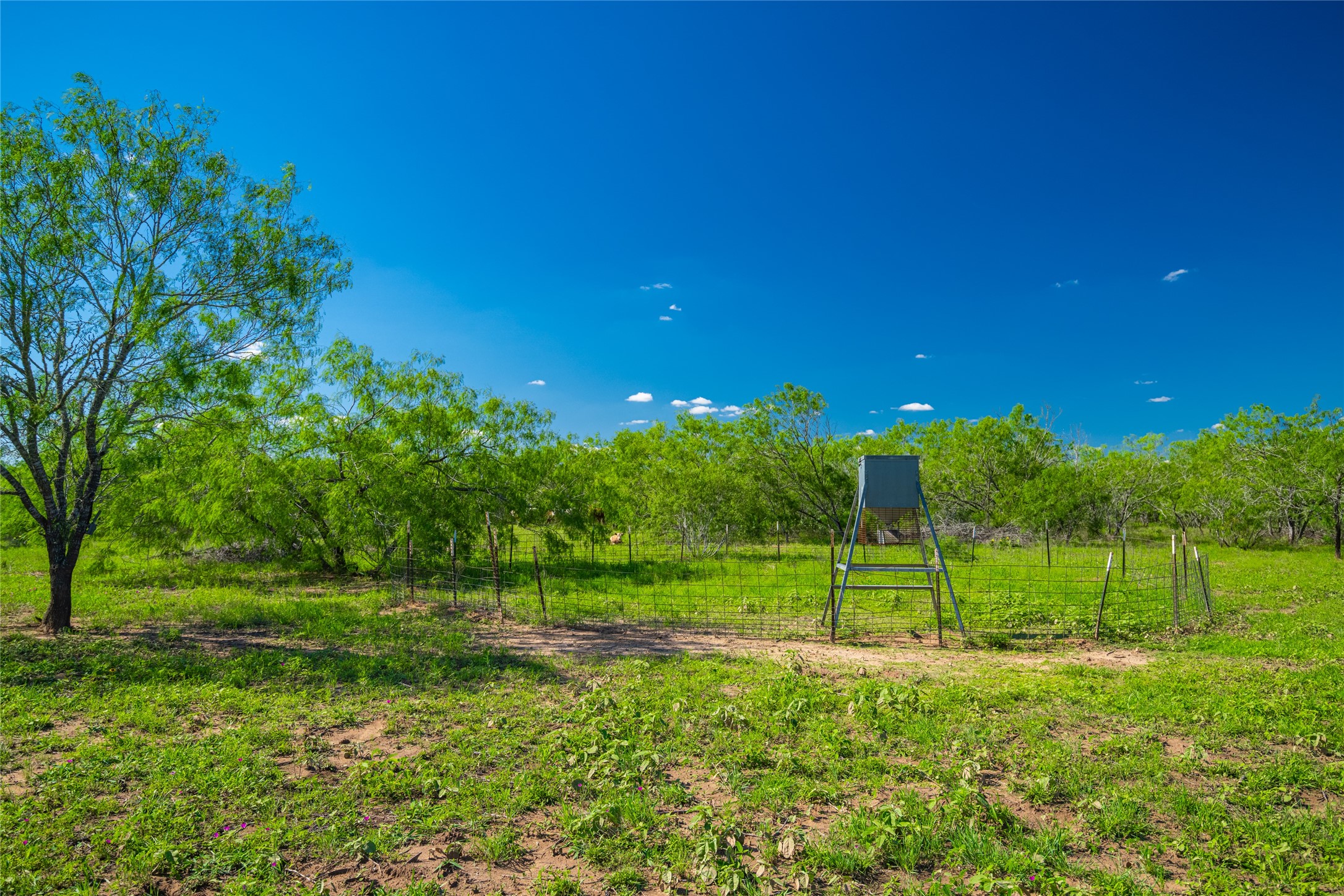 0 Sparta Field Road Waelder, TX 78959 - Photo 18 of 42 a view of a park with a large tree