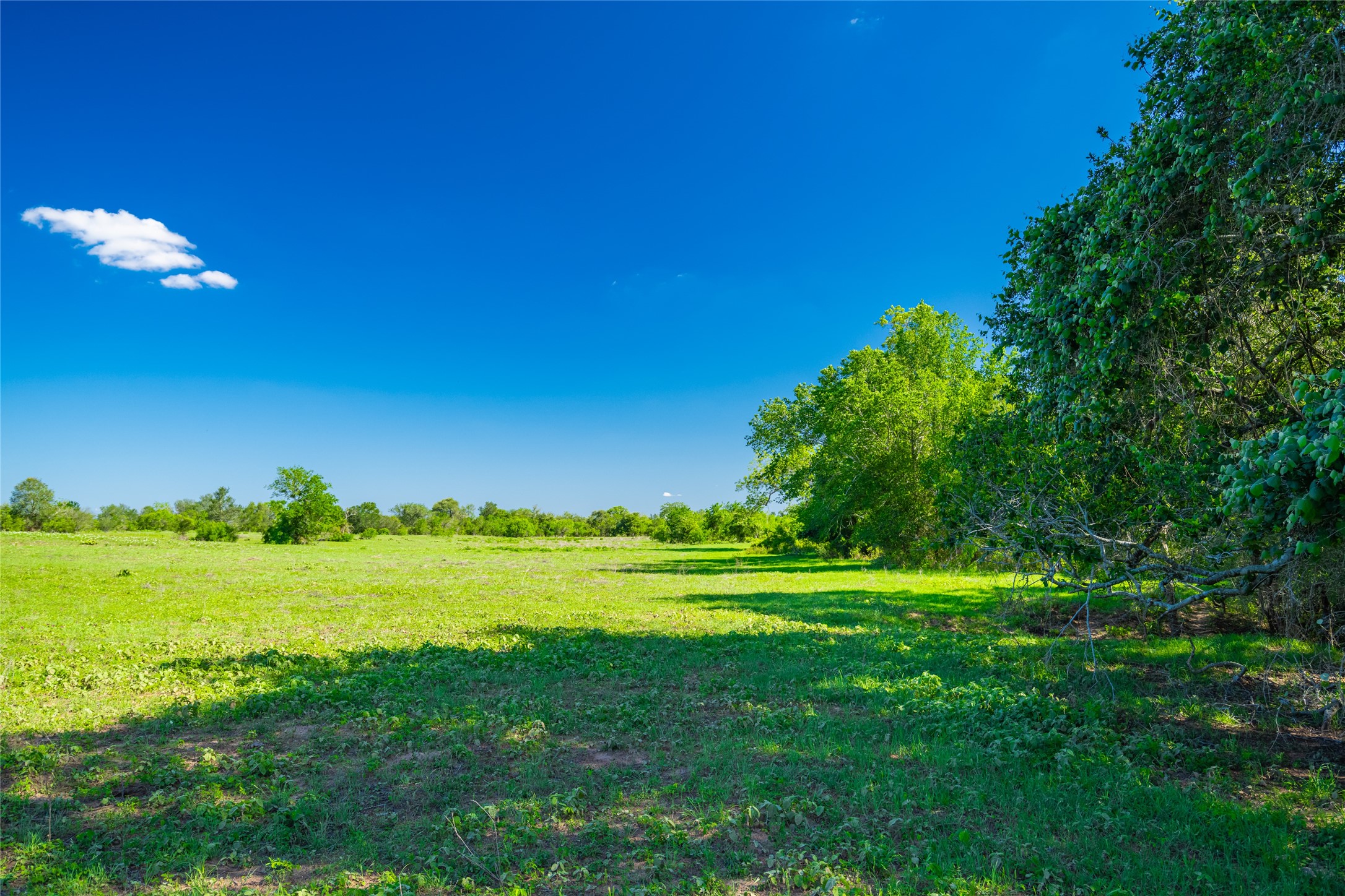0 Sparta Field Road Waelder, TX 78959 - Photo 22 of 42 a view of a golf course with a trees