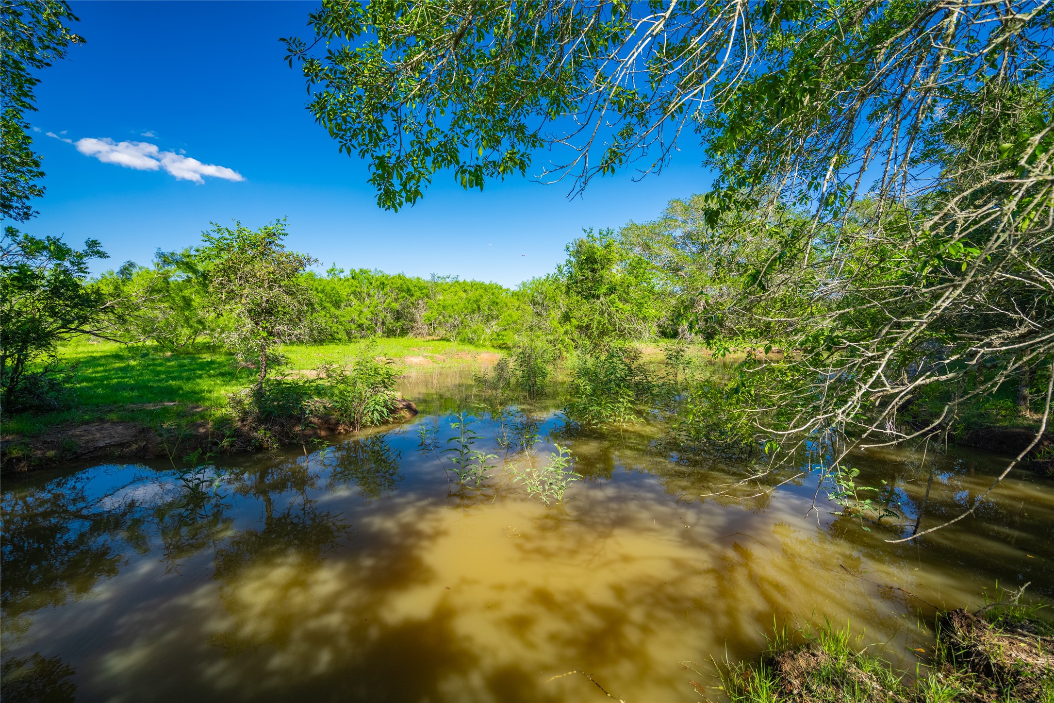 0 Sparta Field Road Waelder, TX 78959 - Photo 23 of 42 a view of a garden