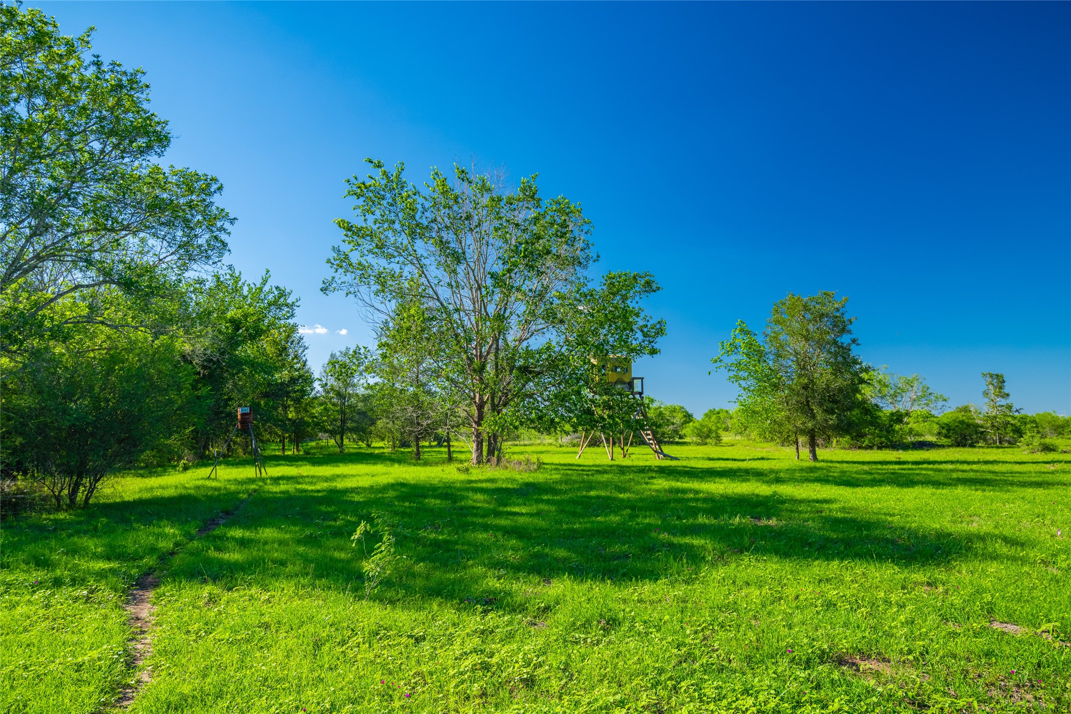 0 Sparta Field Road Waelder, TX 78959 - Photo 25 of 42 a grassy field with trees in the background