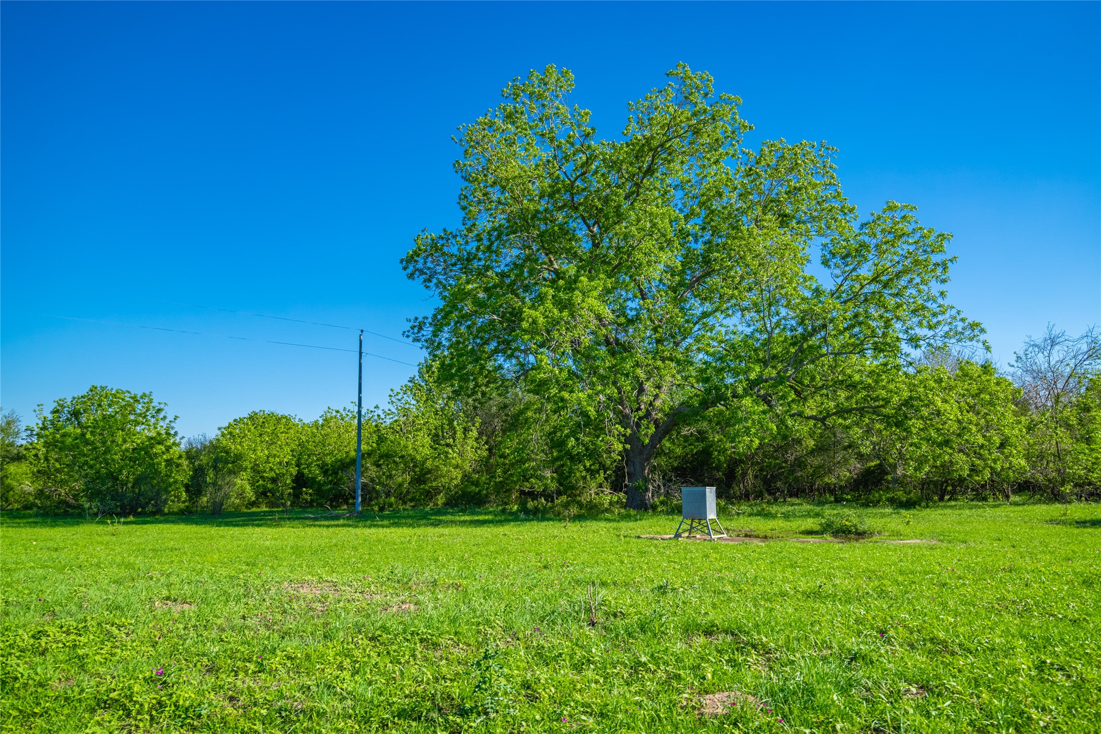 0 Sparta Field Road Waelder, TX 78959 - Photo 26 of 42 a view of a lush green space