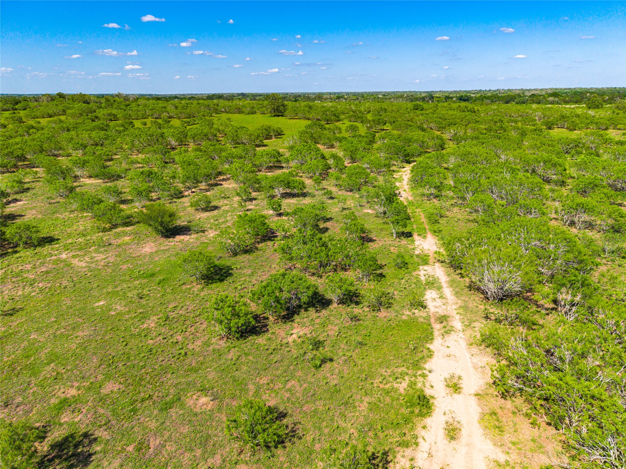 0 Sparta Field Road Waelder, TX 78959 - Photo 33 of 42 a view of a garden