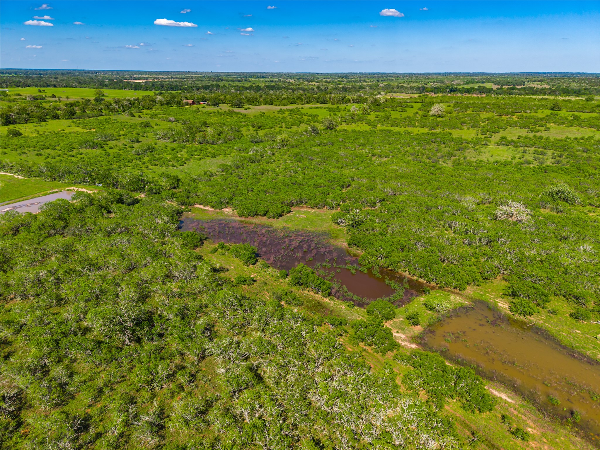 0 Sparta Field Road Waelder, TX 78959 - Photo 35 of 42 a view of an ocean and a yard